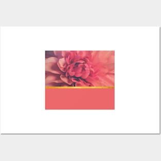 Beautiful pink flower composition Posters and Art